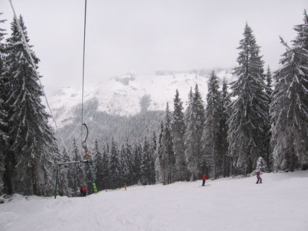 IMG_0905
